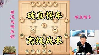 国产大炮完整试驾视频合集：实测性能与驾驶体验解析