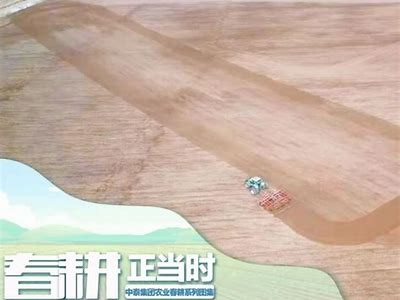 国产棉花收割全程视频记录：农业现代化的真实展现