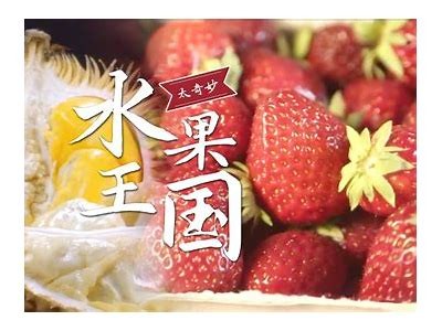 探索国产榴莲视频：新鲜口感分享与吃法推荐