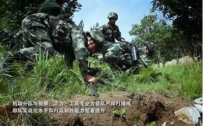 树林野战精彩视频：国产军事演练全景录像