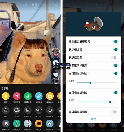 安卓抖音APP官方下载地址及安装指南，轻松畅享短视频乐趣