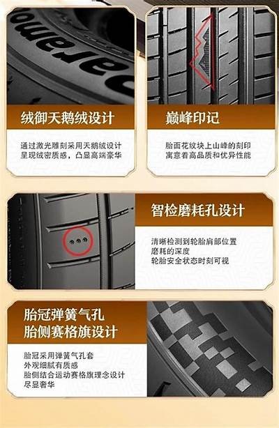 深度测评：国产踏板轮胎性能对比与使用体验分享