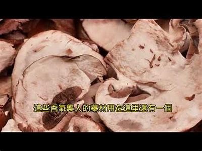如何有效提升铚滄鐐间钩闆硶鎬庝箞鍋氱殑瑙嗛？超实用技巧分享