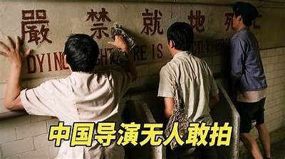 国产视频火烈鸟：揭秘背后的故事与创作理念