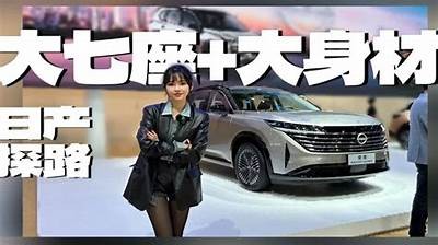 国产车高速行驶实测视频，展现动力与稳定性优势