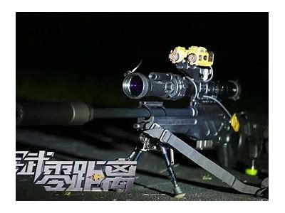 国产狙击视频分享：全景展示中国狙击手的风采与技艺