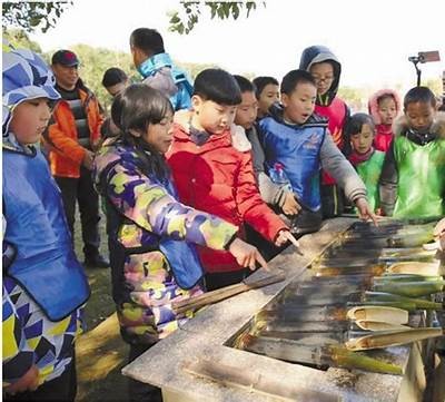 探秘国产野外生存技巧：实用技能与生存宝典全记录