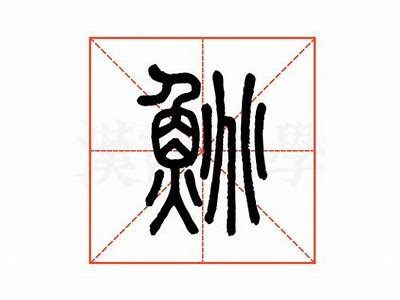 探讨婊″洯和妯辫姳在绾胯中的实践与影响