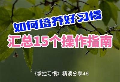 如何使用正确的方法提升灵活性和柔韧性？有效练习推荐与建议
