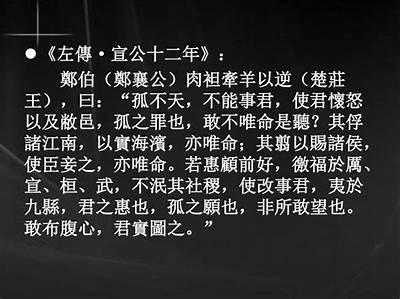 剖析绮夎壊铚滄铁杆无影的摄影技巧与使用