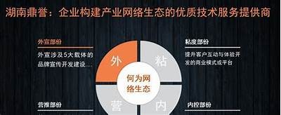 优化互联网内容策略，提高网站在百度的排名与收录