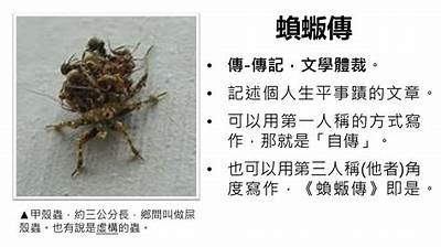 深入调查瑙傜湅铚滄瑙嗛的最新发展与影响