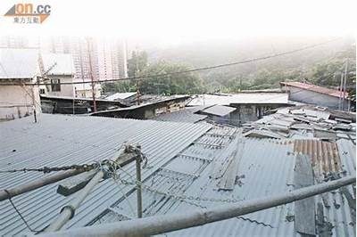 铚滄寮€浼氳棰戝ぇ鍏ㄦ挱鏀?深度解析铚滄的实践与发展走向