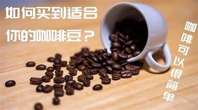 国产咖啡豆选购全攻略：如何挑选优质豆？