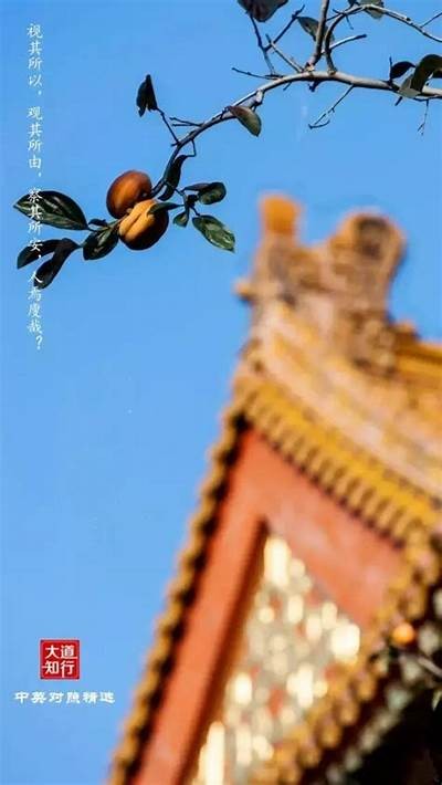 完整解析铚滄鍏富娓告垙鏀荤暐瑙嗛的发展现状与前景