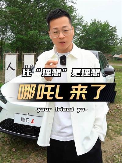 国产牛头车标视频大揭秘：品牌背后的故事与设计理念调查