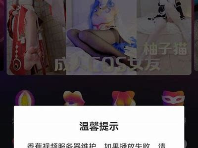 西瓜成人版app下载：安全、易用、广泛解析！