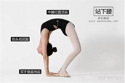 民族舞成人基本功练习APP：提升舞蹈技巧与综合素养的利器