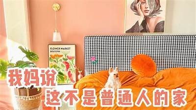 国产小电器工作视频：科技与生活的完美结合，令人惊艳的实用演示！