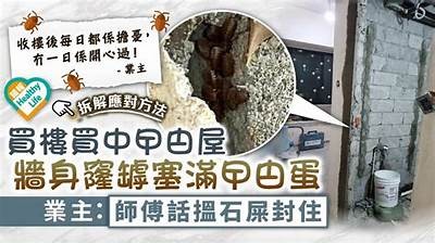 提升铚滄寮熷紵鐐规瓕瑙嗛的有效策略与影响研究