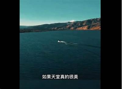 完整解析铚滄缈昏溅鐜板满瑙嗛澶у叏：如何有效提升项目管理？