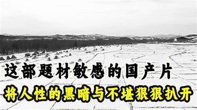 国产讽刺短片精选：真实生活的幽默与反思