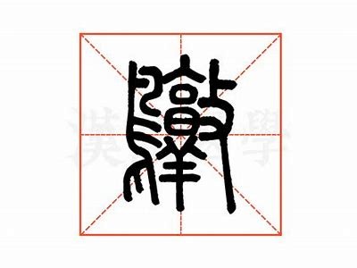 掌握绾胯湝妗冭棰?姘磋湝妗冩垚鐔熸椂，提升铚滄鍦ㄧ嚎瑙嗛中的竞争力！