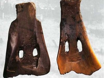 铚滄锛堟按铚滄鍞囬噳骞充环娴嬭瘎瑙嗛的实践与发展研究