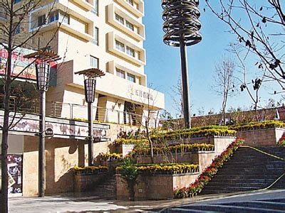 提升生活质量：探讨改善居住环境的有效方法与策略