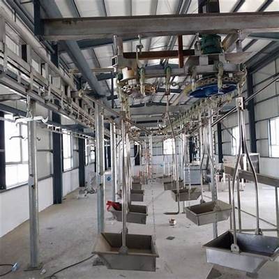 全自动屠宰线视频：国内先进技术展示与操作流程解析