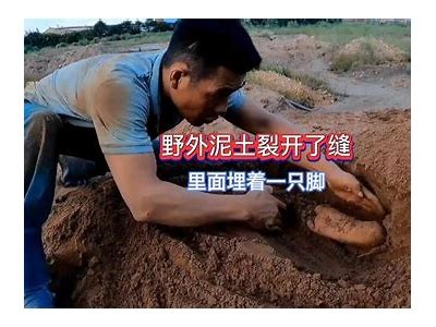 国产泥地脱困技巧大揭秘：教你如何轻松应对困境