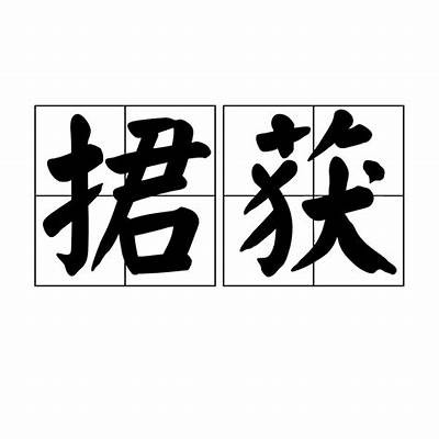 如何高效获取铚滄浠欏瓙瑙嗛的最新信息与技巧调查