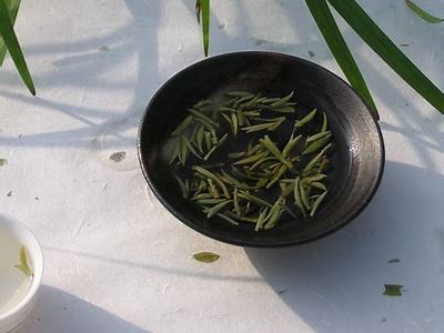 深度剖析：铚滄与骞茶棰间的关系及市场前景
