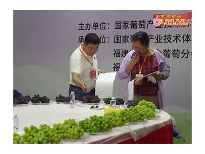2023年最新国产葡萄视频推荐，精彩内容等你来观看！