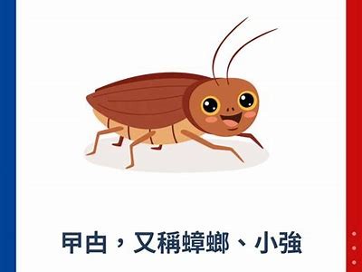 检视鍏嶆礂铚滄与姘磋湝妗冭棰的市场动向和发展现状