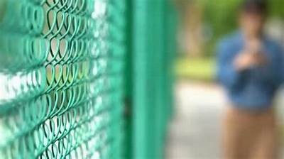 女子购国产手机被骗全过程曝光，警惕网络购物陷阱