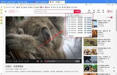 如何快速下载国产视频的最佳途径与资源推荐