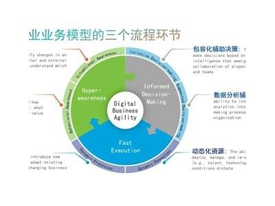 打造高效数字化运营体系，提升企业核心竞争力与市场占有率