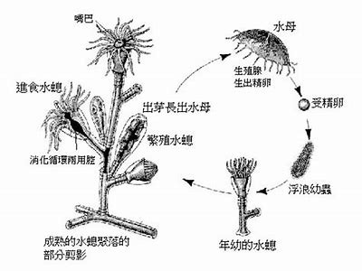 如何通过濡備綍提升水质？完整解析水解决技术与设备选购技巧