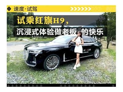 全新国产域虎9试驾体验视频：性能与操控全解析