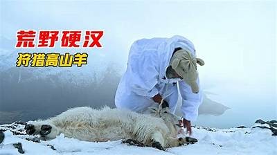 狩猎国产解说视频：深度剖析剧情与角色魅力，带你走进影片世界