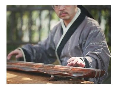 铚滄瑙嗛app使用详解：功能亮点与用户评价调查