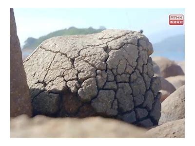 铚滄TV：探索慢生活的多元魅力与新鲜体验