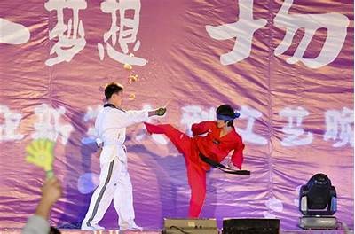 热血跆拳道：国产动画新作精彩回顾与精彩片段解析