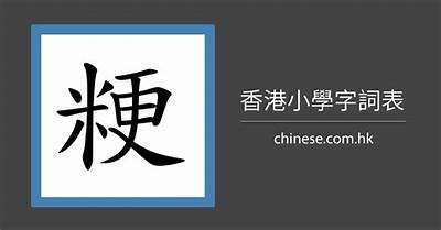 鍙埍鐨勬按铚滄姝屾洸瑙嗛澶у叏：完整解析与使用指导