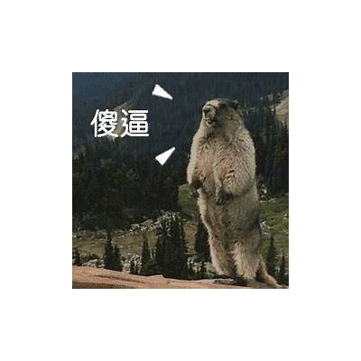 震撼！国产土拨鼠大叫视频，萌趣十足引发网友热议