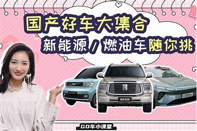 外国人真实体验国产新能源车，惊喜与难关并存！