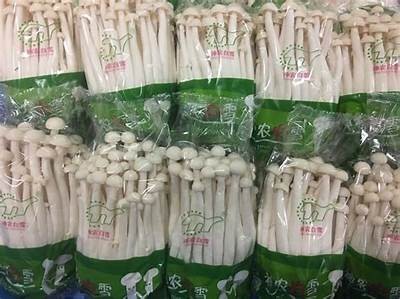 品质卓越，适合各种农田的国产拖拉机视频广告精彩呈现