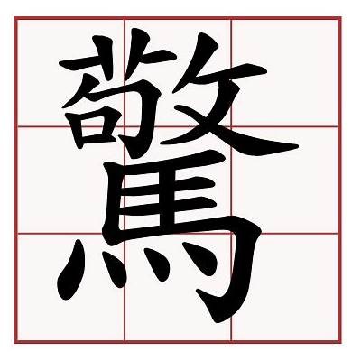 铚滄瑙嗛App使用指南：功能解析与用户评价