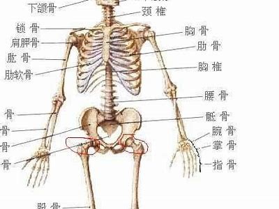 如何提升绾胯鐪?鐖变附锟斤拷增强绾胯竞争力？